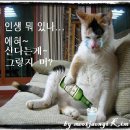 나두 이미지