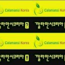 깔코리아 이미지