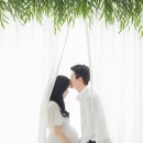 더본스튜디오
