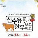 양평 산수유마을: 봄의 노란 행복 이미지