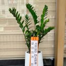 상도그 검암점 네이버블로그