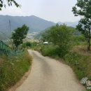 NO1공인중개사사무소 이미지