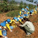 농은농장 이미지