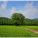 신평마을 이미지