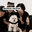 애견가족 | 동탄 가족사진 스튜디오 시유 애견동반 후기