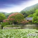 민속산방 이미지