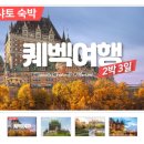 캐나다 토론토 현지투어 예약하기-퀘벡&amp;나이아가라 (블루버드여행사 예약후기)