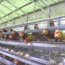 학천농장 이미지