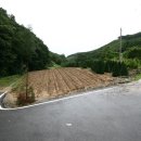 단양유기농원 이미지