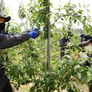 서형호농장 이미지