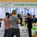 발효식품 홍보대전 이미지