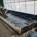 영은목장 이미지