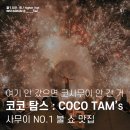 상업용 62 | 안 가면 후회하는 코사무이 필수 코스 코코탐스 레스토랑 (CoCo Tam&#39;s) 불 쇼 후기