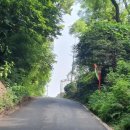 도리재농장 이미지