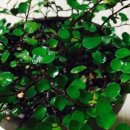 흙이야기 이미지