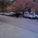 운문산 군립공원야영장 이미지