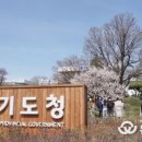 주정차 단속 - 020 이미지