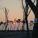 파도와노을캠핑장 이미지