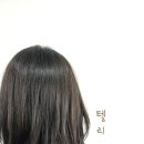 텔리뷰티 이미지