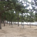 통나무펜션 이미지