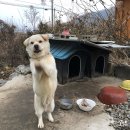 박지현생오리불고기 이미지