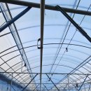 샤인하우스 가동 이미지