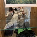 떡봉청과 | 올레야시장/제스토리/오는정김밥/서귀포고기국수/테라로사카페/약천사/만달/올레삼다정/우진해장국 후기