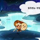 라이트쿠키 이미지