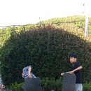 거제셀프세차장 이미지