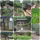 서울사랑요양병원 이미지