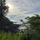 비로소433 이미지