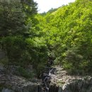 송이용소 이미지