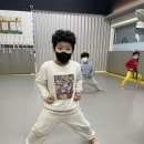 용인대 지노태권도 이미지