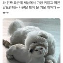 (주)탐구 이미지
