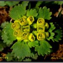 조기현농장 이미지