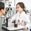 아이라인안경원 이미지