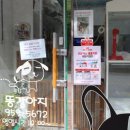 똥강아지 애견샵 이미지