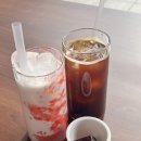 [강서구/마곡역 카페] 마곡역 카페 추천 | 원두 맛집 브루드 집커피 솔직 후기