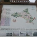 그물집 민박 이미지