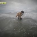 호야야식 이미지