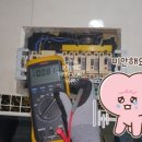 신흥전파사 이미지