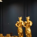 디벨롭짐 이미지