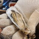 여수굴집 이미지