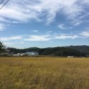 원삼농장 이미지