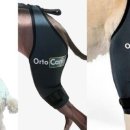 스마트 정형외과 신경외과 동물병원 이미지