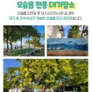 세부 세친구투어 오모팩 , 고래상어 투어 내돈내산 솔직후기