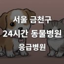 금천 24시 K동물의료센터 | [서울 금천구 24시간 동물병원(독산동, 시흥동)] 반려동물 응급상황 대처 가능한 진료소