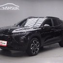 스카이 모터스 이미지