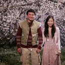 너는내운명 이미지