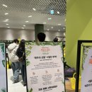 제주블랑 | 여의도 더현대 서울 팝업스토어 방문 후기 [제주의 선물, 블랑두부 등]